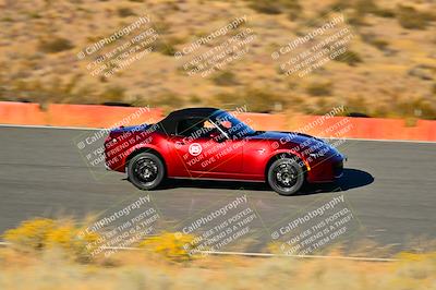 media/Nov-16-2024-Extreme Speed (Sat) [[6587d07cc4]]/Purple Group/Session 3 (The Bowl)/